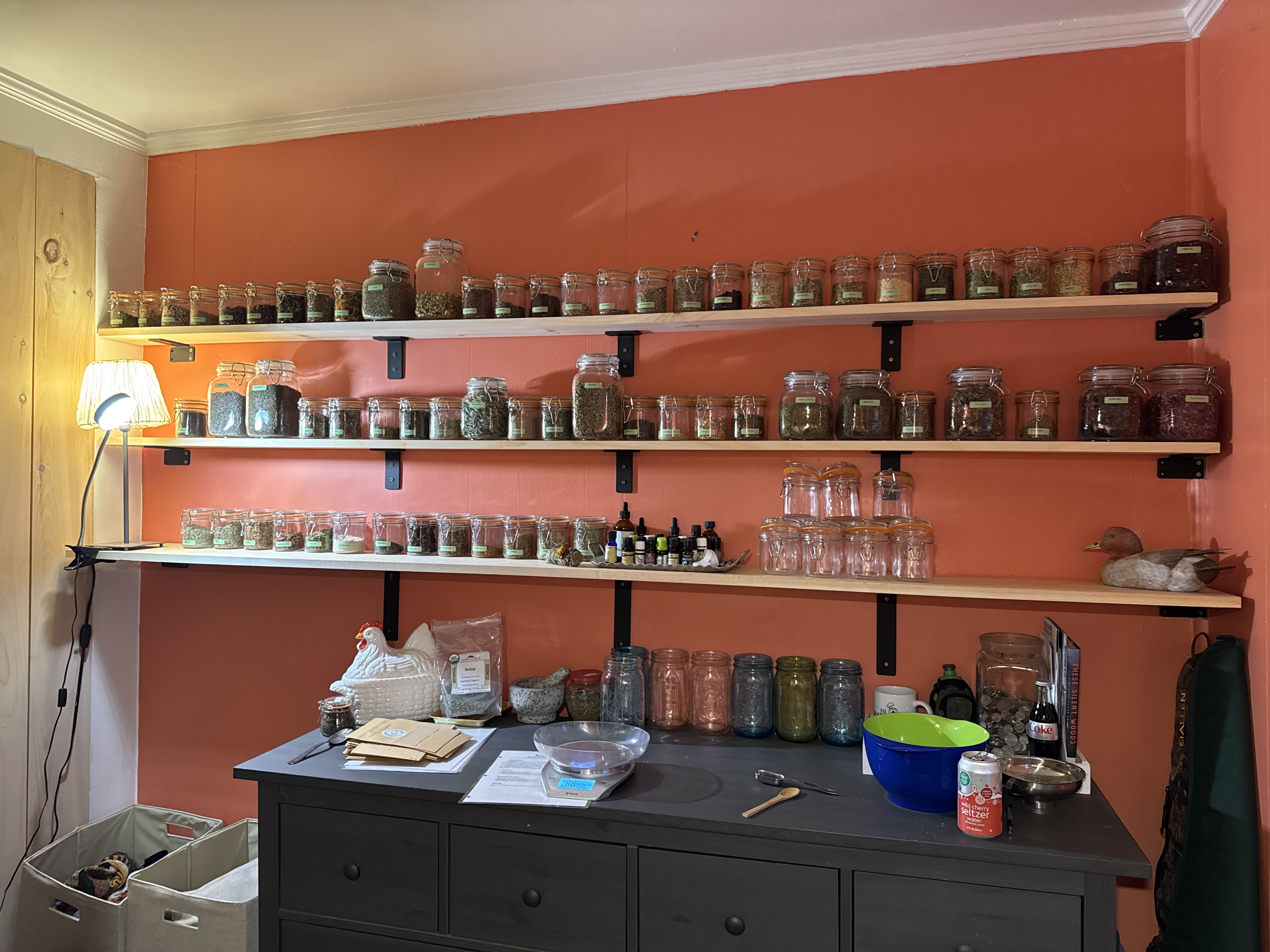 Wall of jars with dried herbs